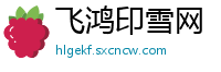 飞鸿印雪网